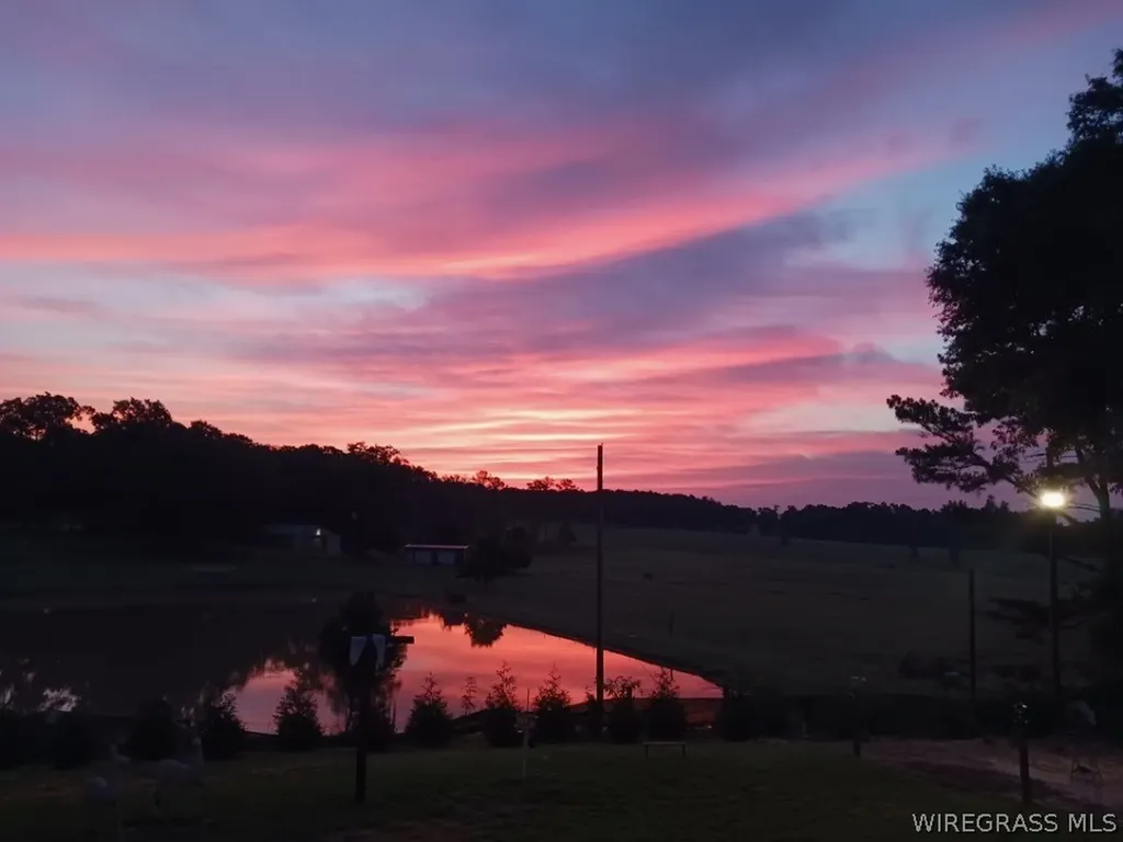 14622 Highway 51 Ariton AL 36311