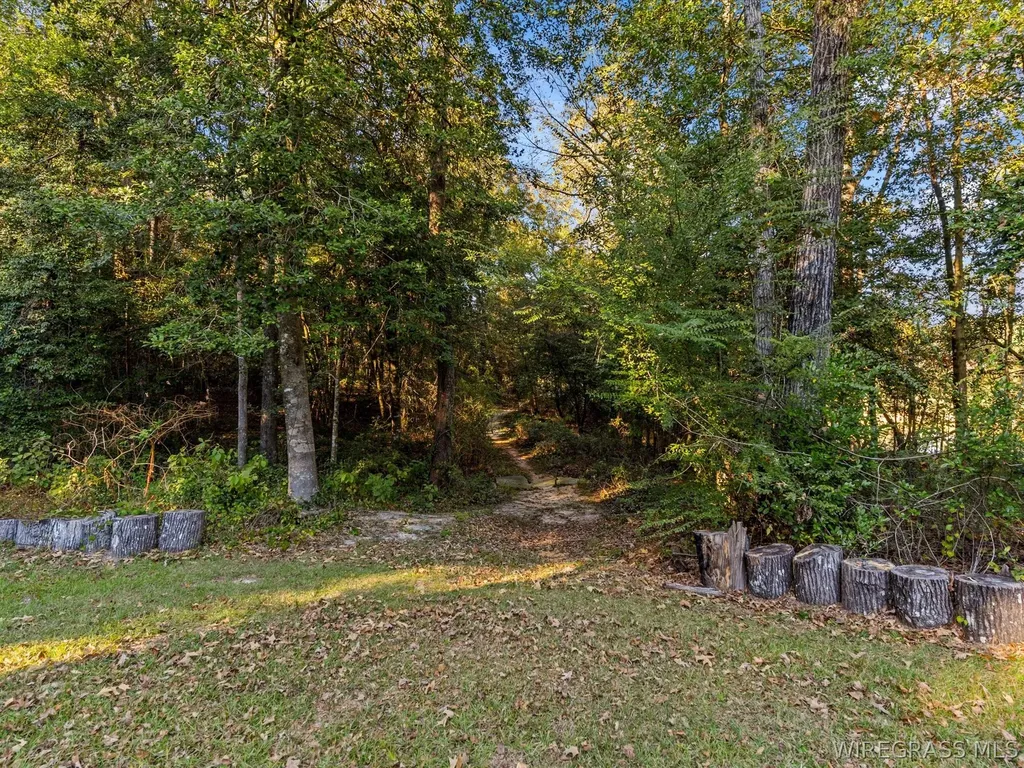 14622 Highway 51 Ariton AL 36311