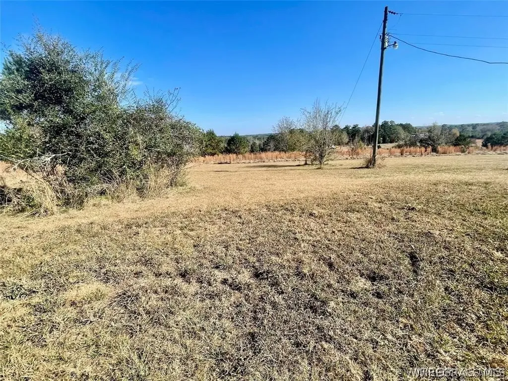 28842 Highway 167 Jack AL 36346