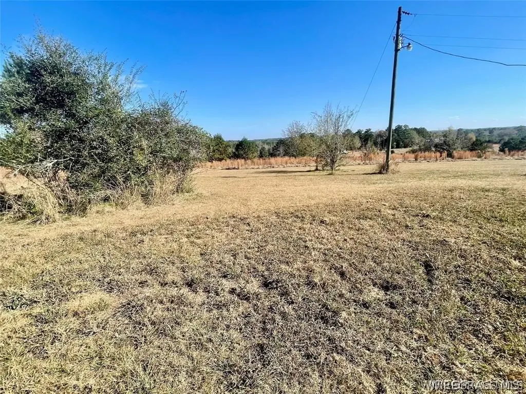 28842 Highway 167 Jack AL 36346