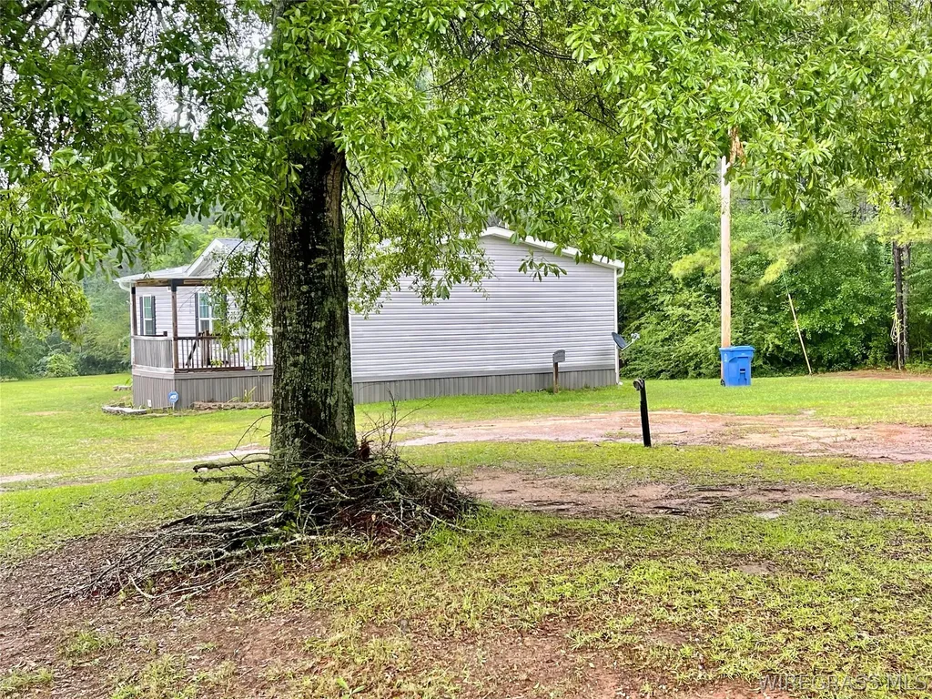 4606 County Road 514 Elba AL 36323