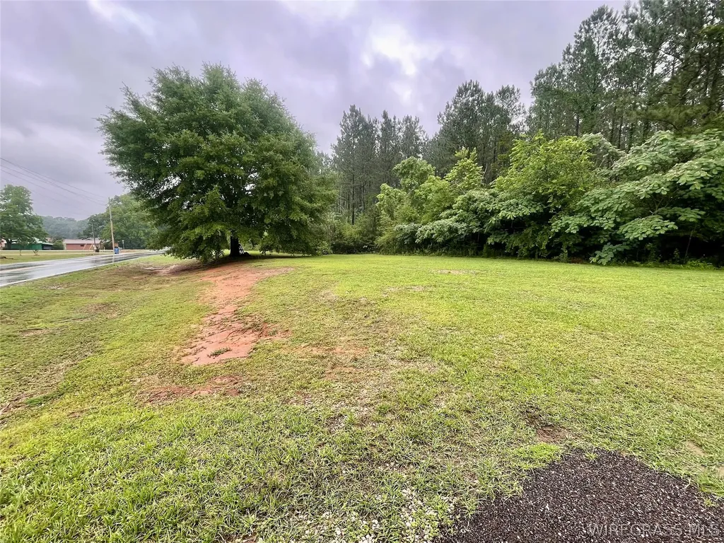 4606 County Road 514 Elba AL 36323