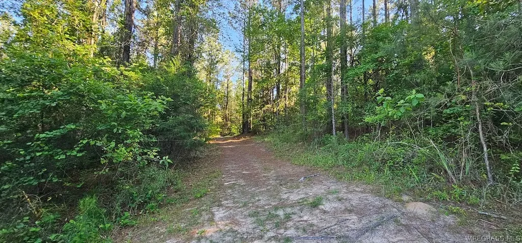 2283 County Road 50 Ozark AL 36360