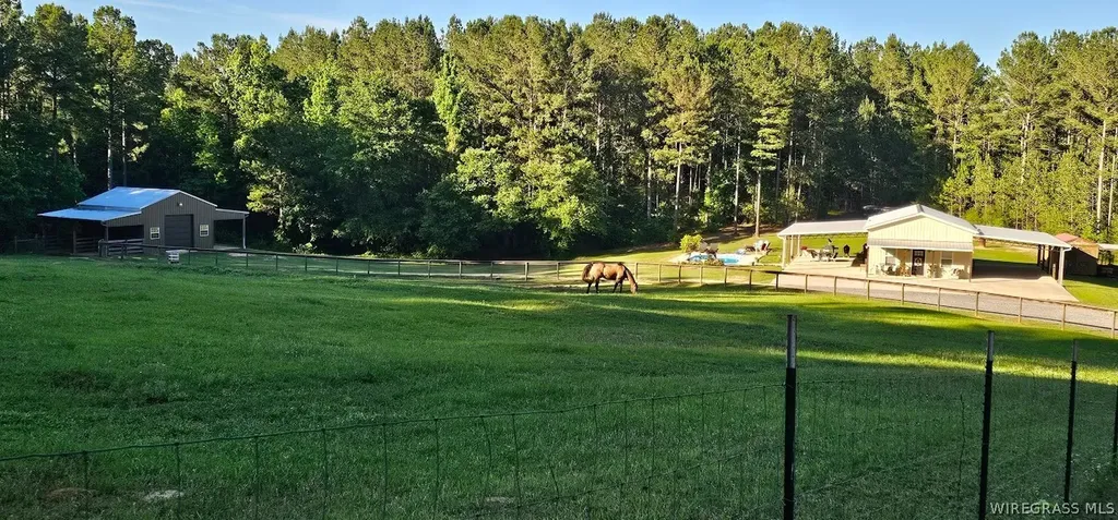 2283 County Road 50 Ozark AL 36360