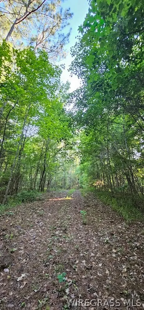2283 County Road 50 Ozark AL 36360