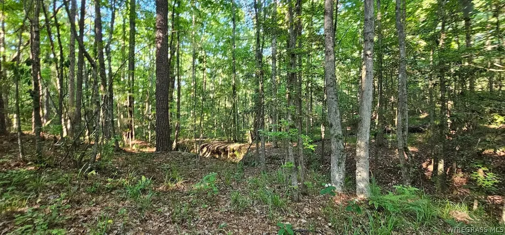 2283 County Road 50 Ozark AL 36360