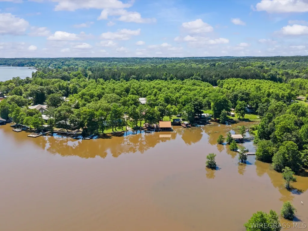 16984 Sims Road Dozier AL 36028