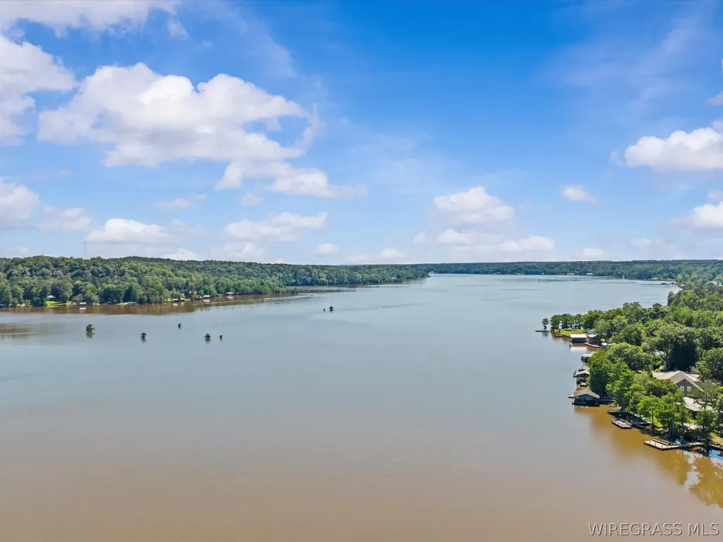 16984 Sims Road Dozier AL 36028