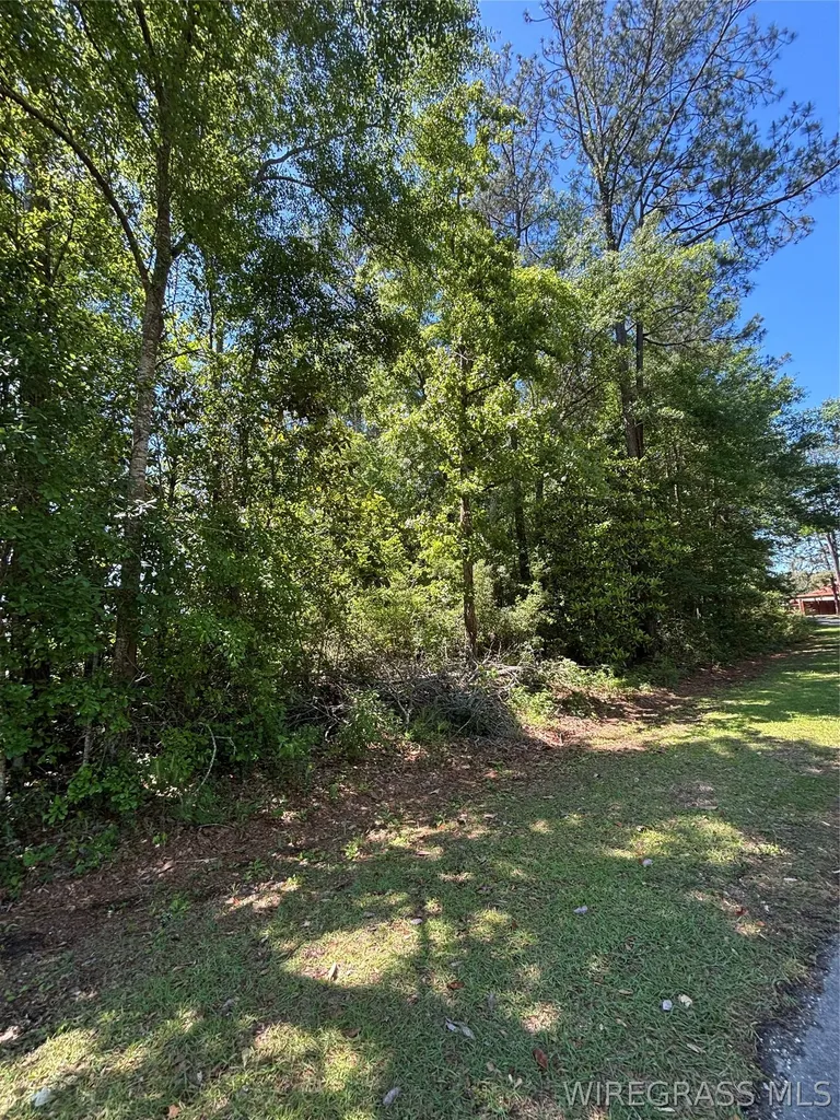 0 Canoe Road Andalusia AL 36421