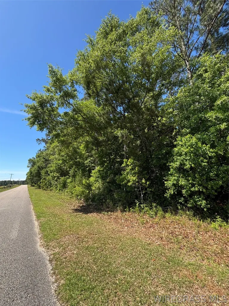 0 Canoe Road Andalusia AL 36421