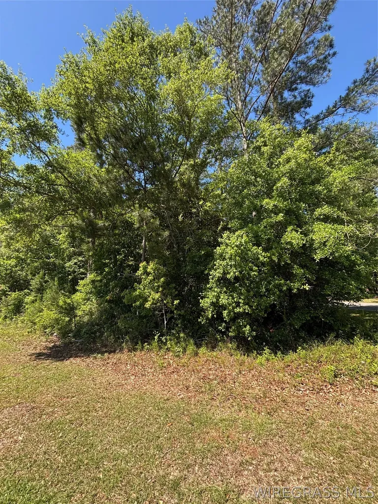 0 Canoe Road Andalusia AL 36421