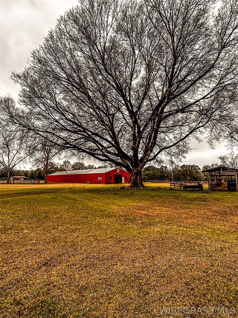 8971 State Highway 10 E AL 36373