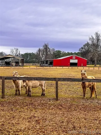 8971 State Highway 10 E AL 36373