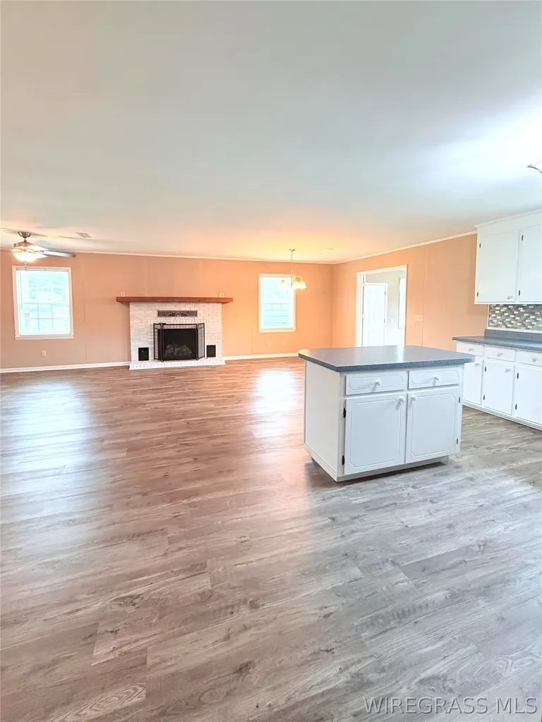 236 Windsor Lake Road Chancellor AL 36316