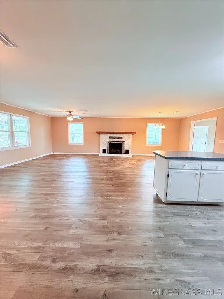 236 Windsor Lake Road Chancellor AL 36316