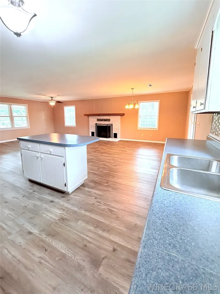 236 Windsor Lake Road Chancellor AL 36316