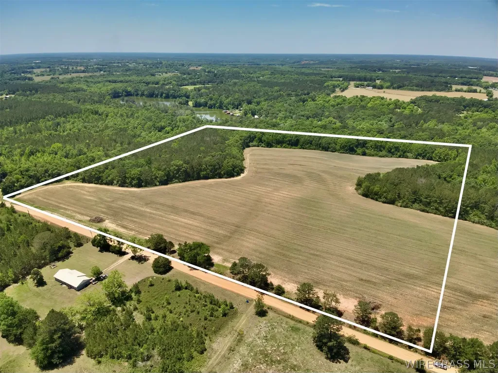 32 County Road 734 Chancellor AL 36316