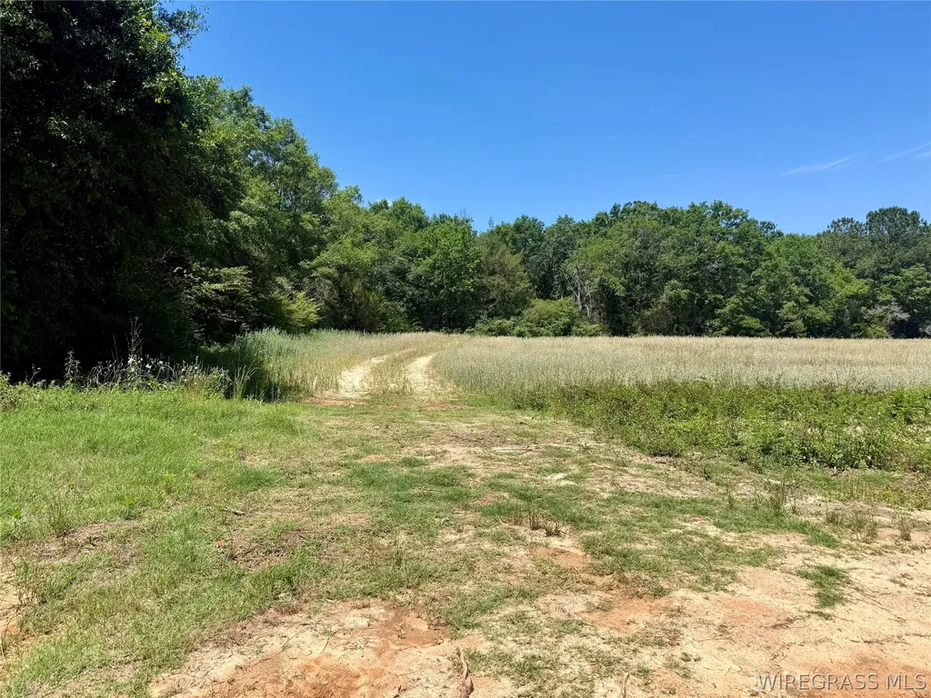 32 County Road 734 Chancellor AL 36316