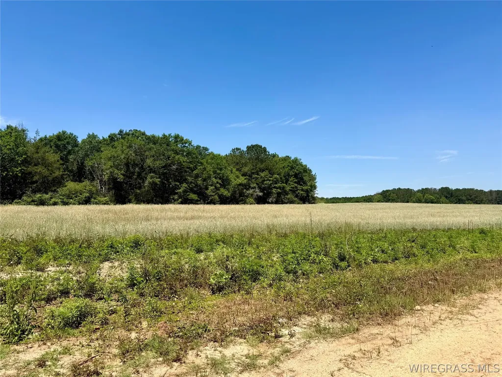 32 County Road 734 Chancellor AL 36316
