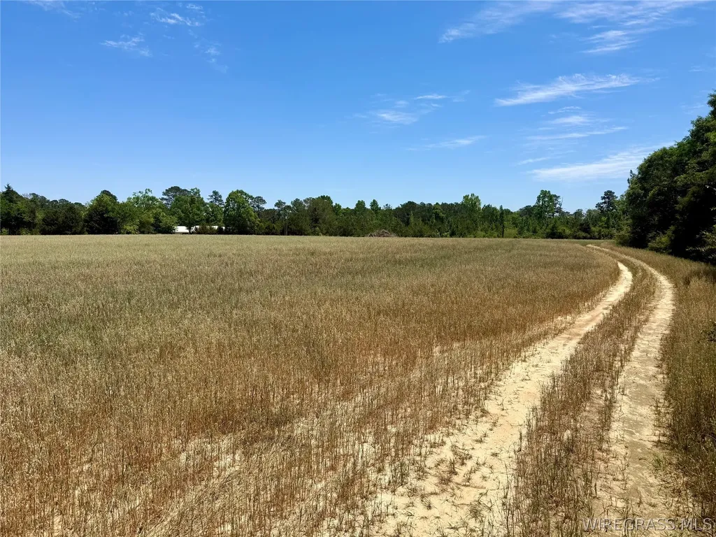 32 County Road 734 Chancellor AL 36316