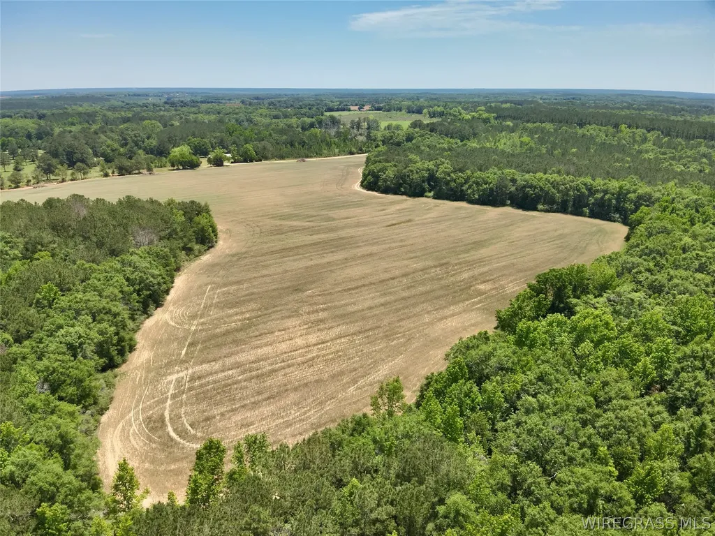 32 County Road 734 Chancellor AL 36316