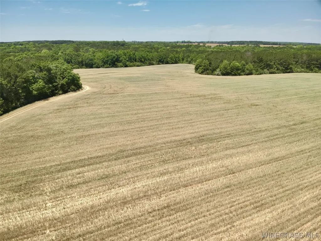32 County Road 734 Chancellor AL 36316