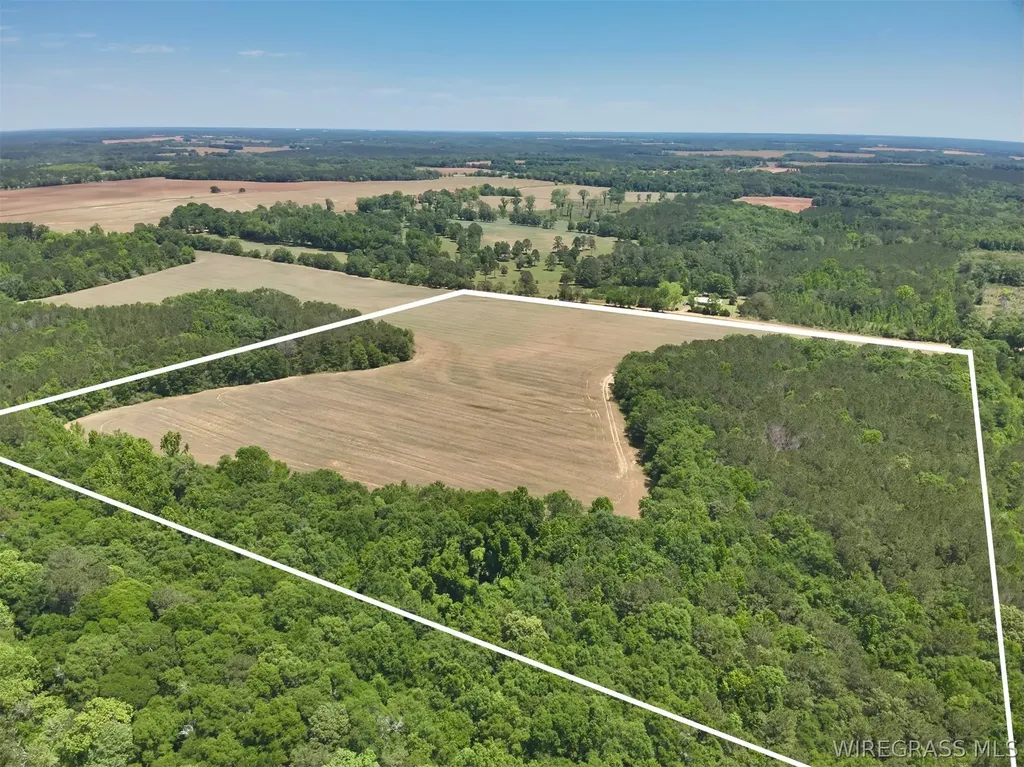 32 County Road 734 Chancellor AL 36316
