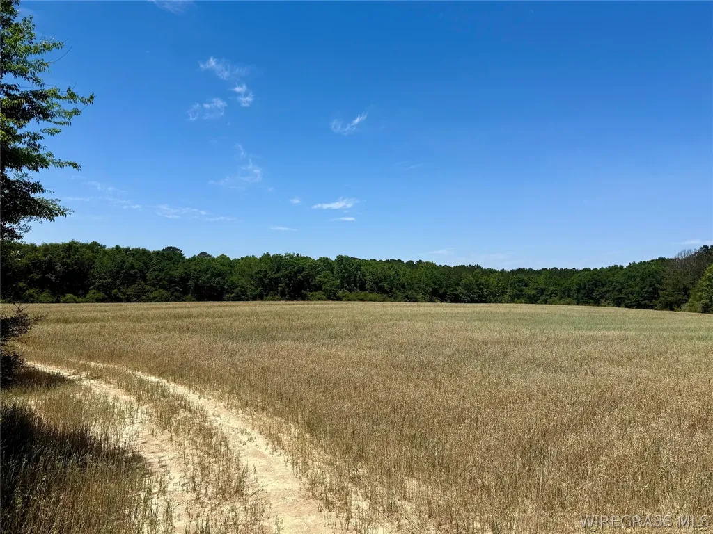 32 County Road 734 Chancellor AL 36316