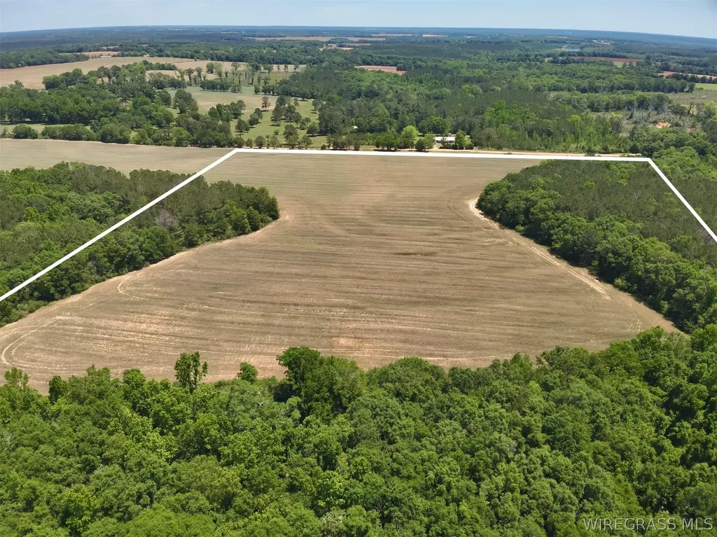 32 County Road 734 Chancellor AL 36316