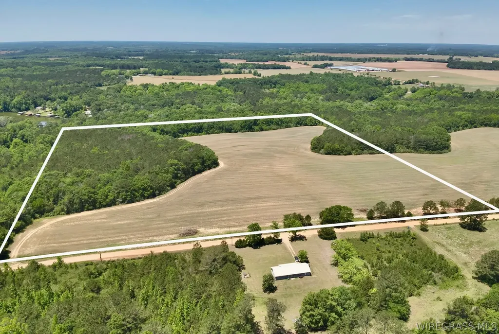 32 County Road 734 Chancellor AL 36316