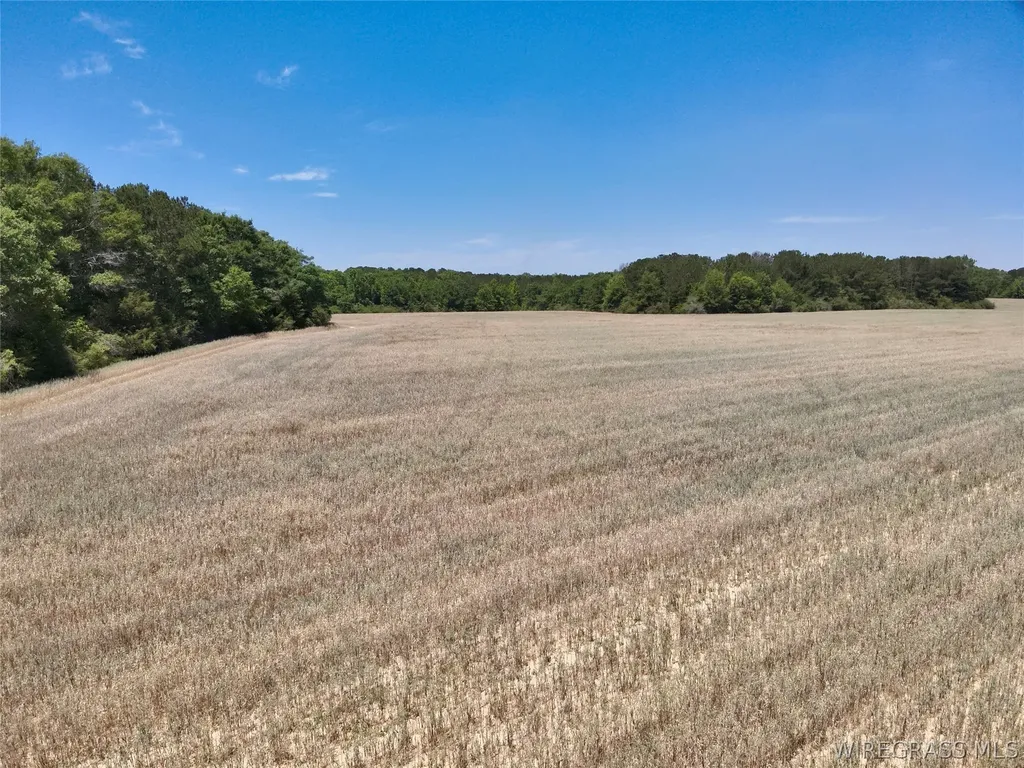 32 County Road 734 Chancellor AL 36316