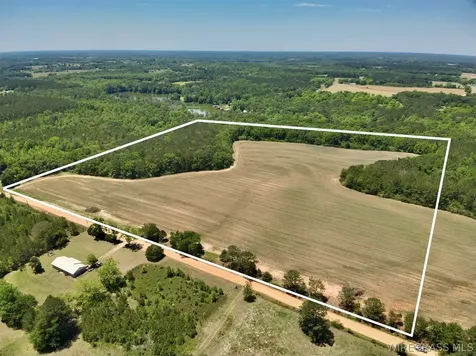 35 County Road 734 Chancellor AL 36316