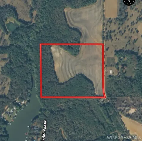 35 County Road 734 Chancellor AL 36316