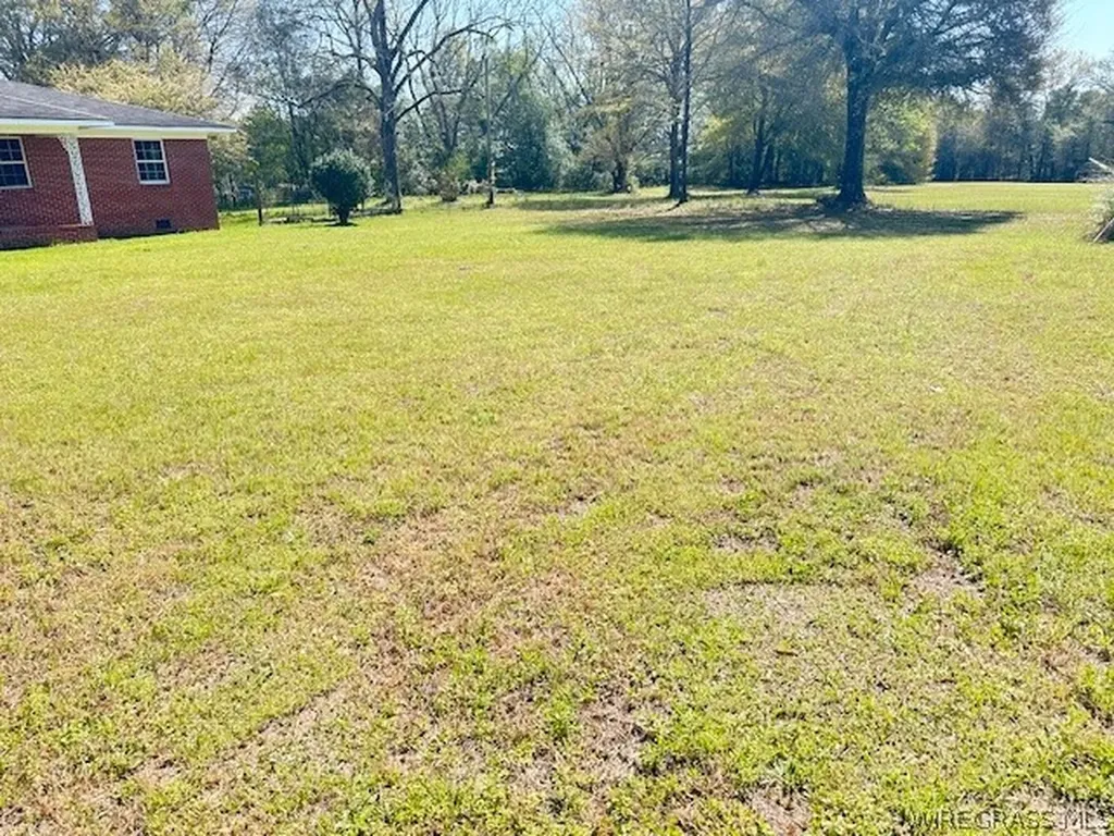 7292 County Road 69 Skipperville AL 36374