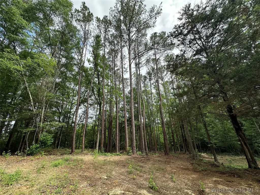 593 Mary Mcclendon Road Ozark AL 36360