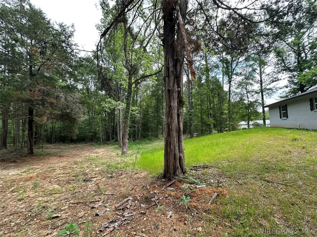 593 Mary Mcclendon Road Ozark AL 36360