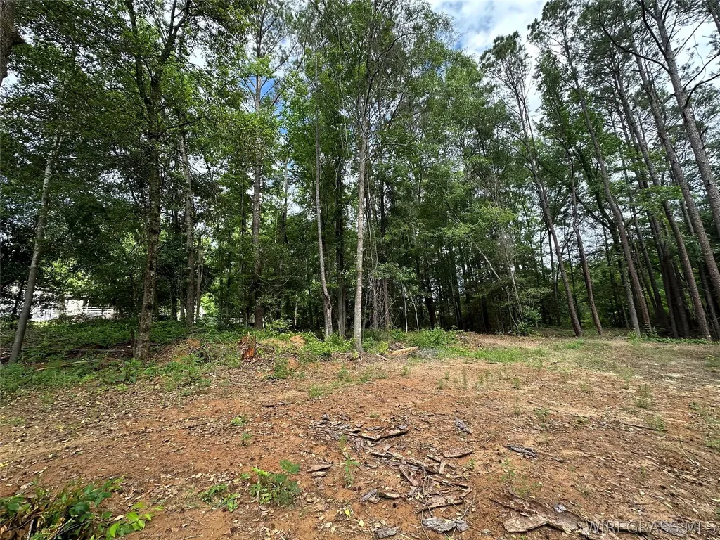 593 Mary Mcclendon Road Ozark AL 36360