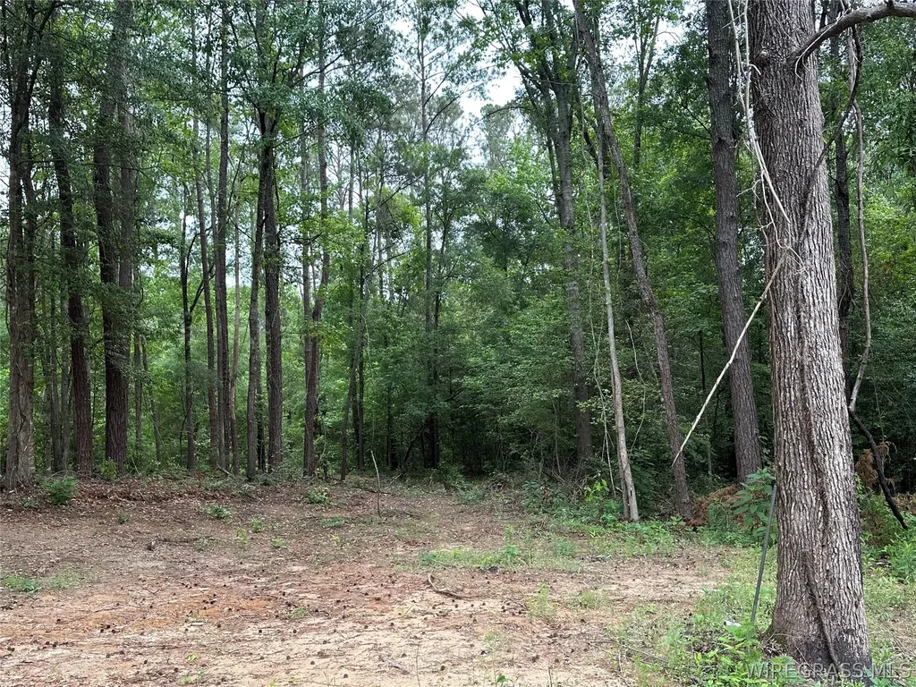 593 Mary Mcclendon Road Ozark AL 36360