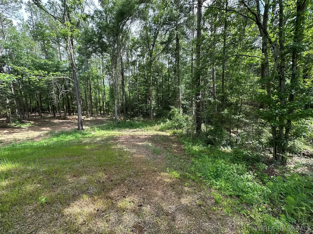593 Mary Mcclendon Road Ozark AL 36360