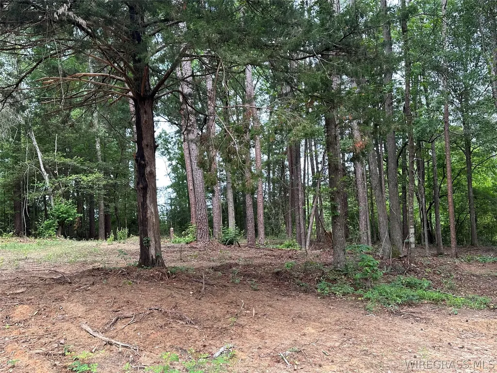 593 Mary Mcclendon Road Ozark AL 36360