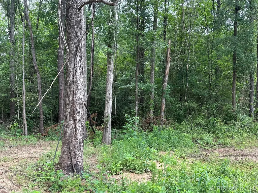 593 Mary Mcclendon Road Ozark AL 36360