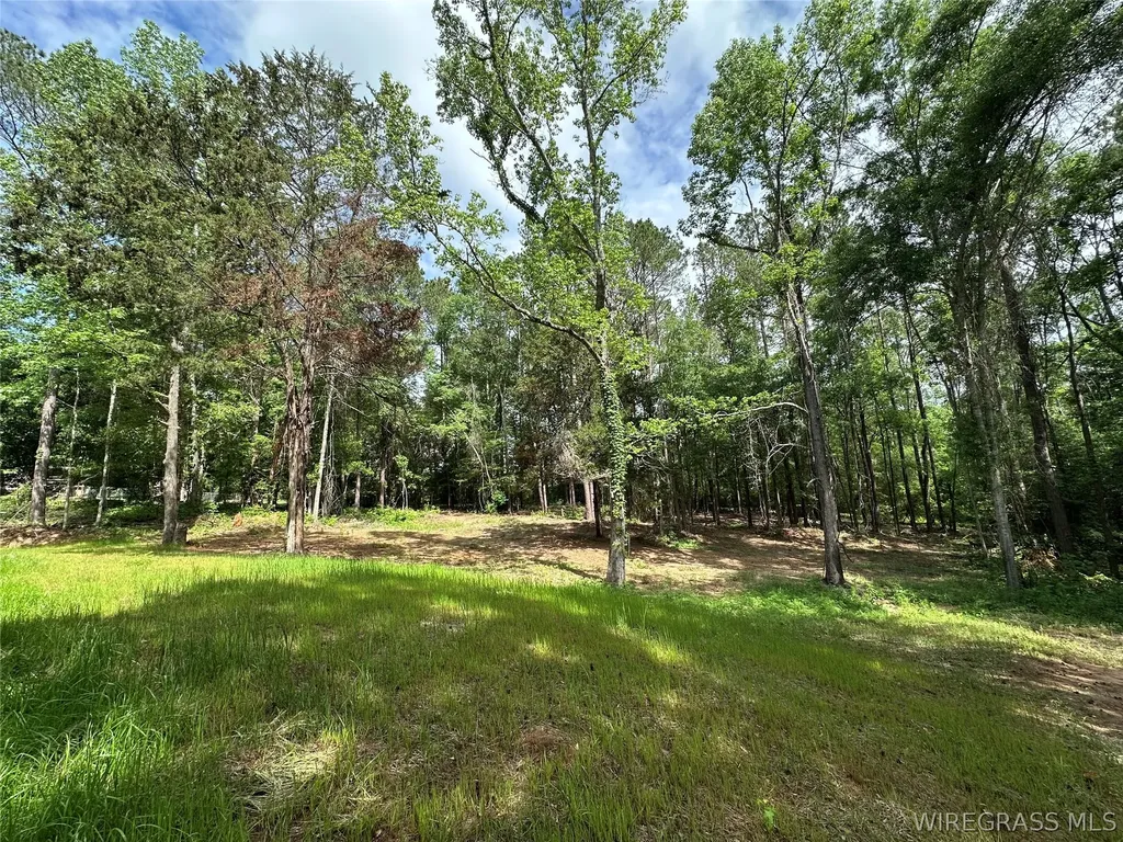 593 Mary Mcclendon Road Ozark AL 36360