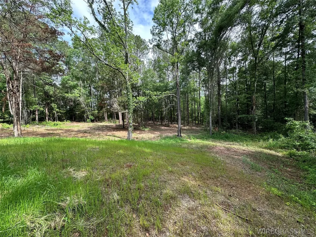 593 Mary Mcclendon Road Ozark AL 36360