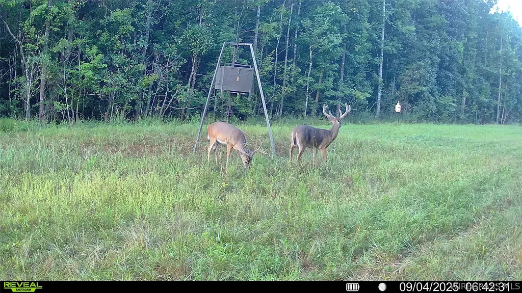 2500 Dean Church Road Ozark AL 36360
