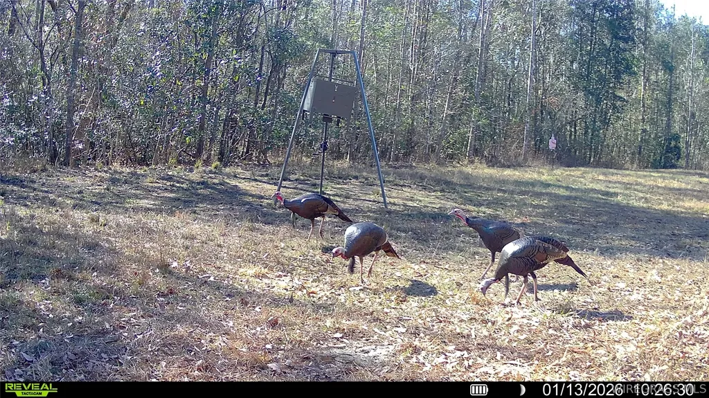 2500 Dean Church Road Ozark AL 36360