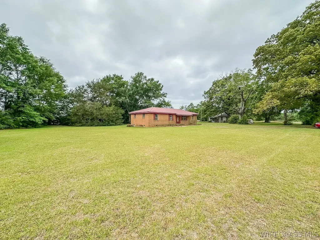 862 County Road 667 Chancellor AL 36318