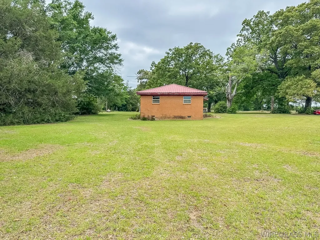 862 County Road 667 Chancellor AL 36318
