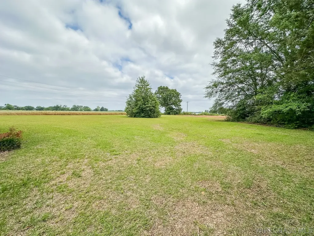 862 County Road 667 Chancellor AL 36318