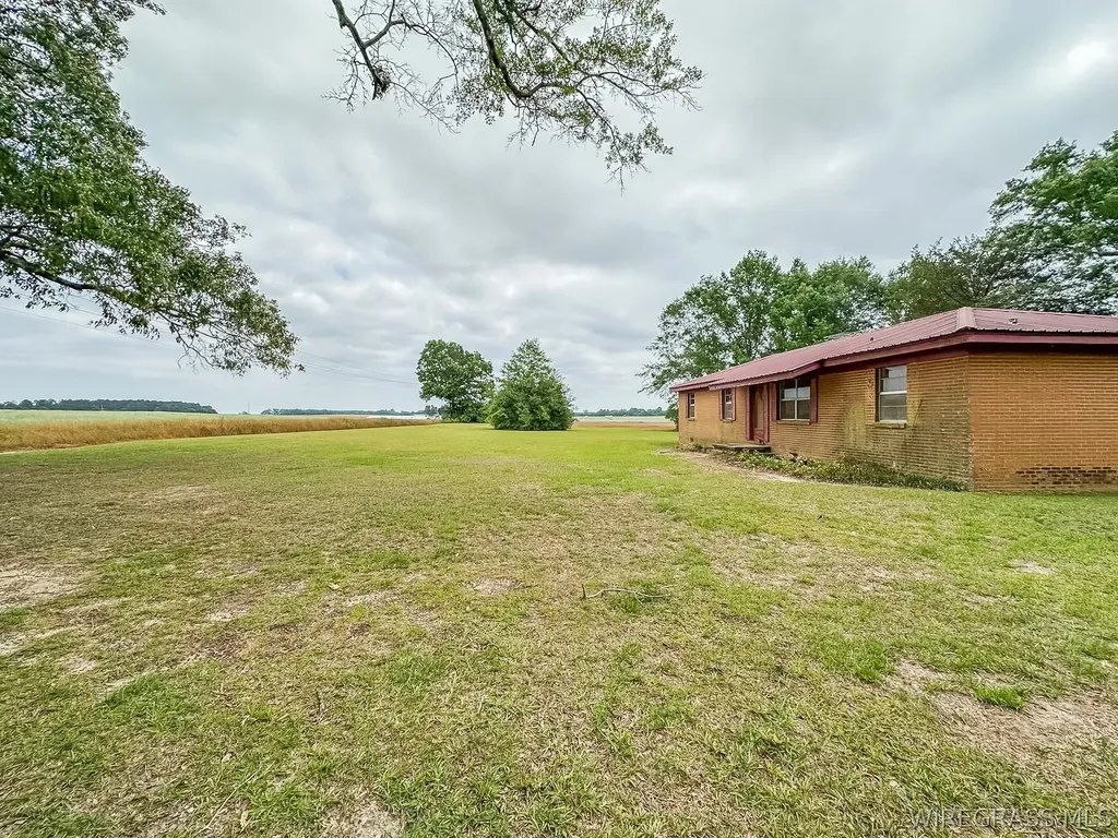862 County Road 667 Chancellor AL 36318