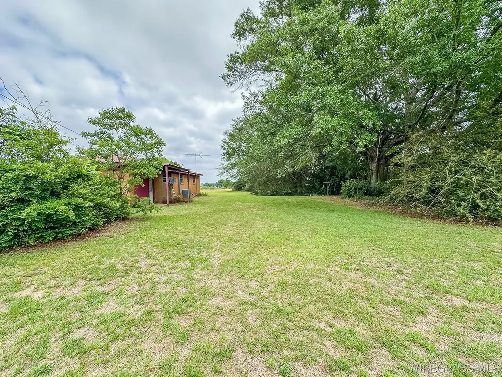 862 County Road 667 Chancellor AL 36318